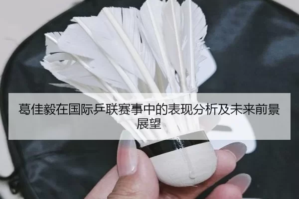 葛佳毅在国际乒联赛事中的表现分析及未来前景展望